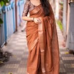 cotton Linen Sarees with Sequence Work - Brown Saree