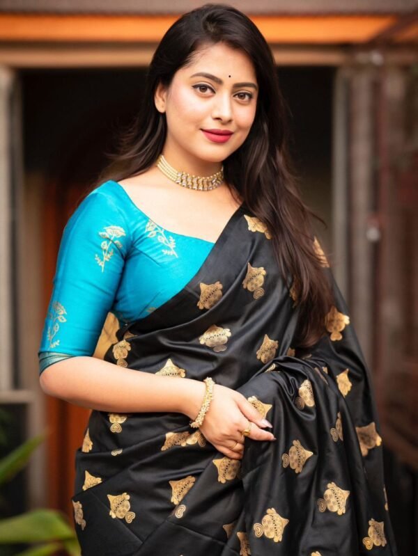 Black Soft Silk Saree Ferozi Border main