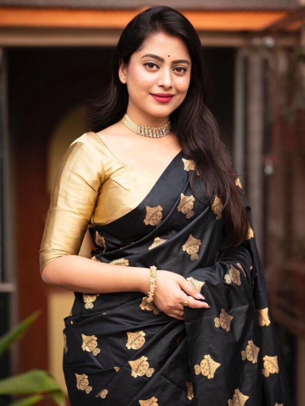 Black Soft Silk Saree Golden Border